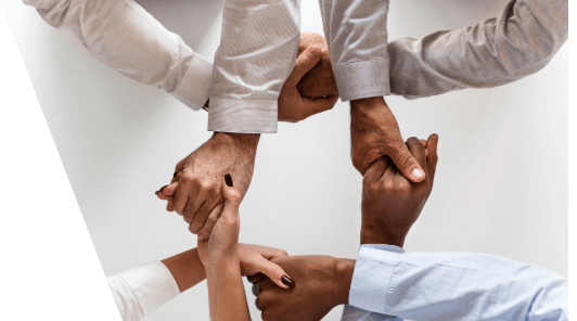 Stake(�й���)�ٷ���վ